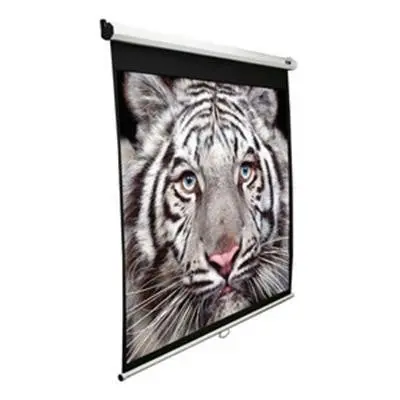 100-Inch Basic Manual Pulldown Projection Screen 1