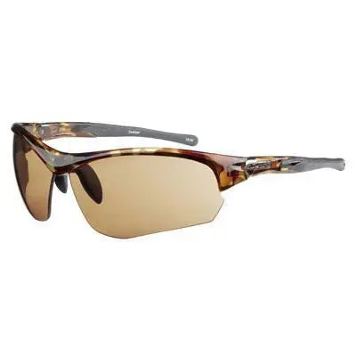 Swamper Photochromic Demi-Brown Lens Eyewear 1