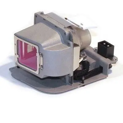 Viewsonic-Specific Oem Projector Lamp 1