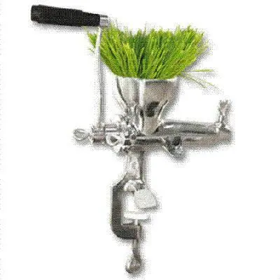 Ws Manual Wheatgrass Juicer – Stainless Steel Masticating Press 1